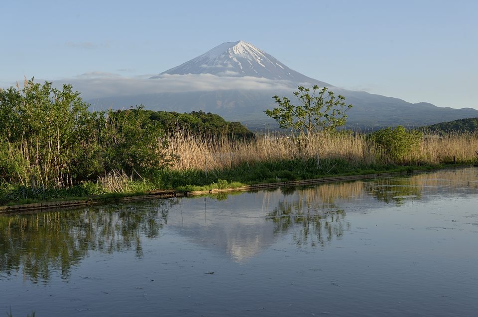 水が入った田圃の逆さ富士